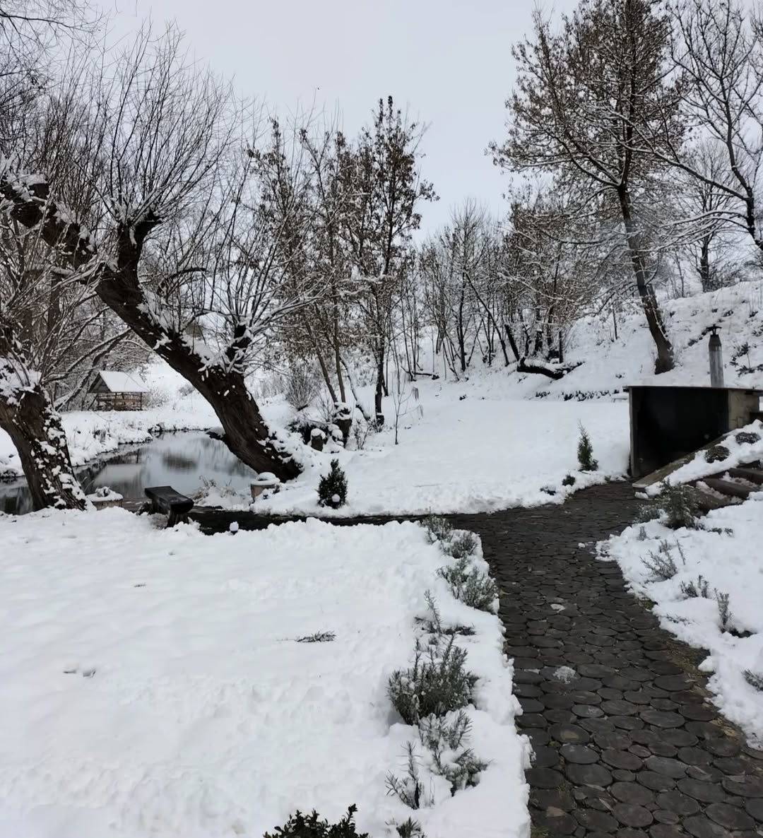 Крайня хата — фото локації для відпочинку у селі Козлів, Козівському районі, Тернопільській області, фото 11