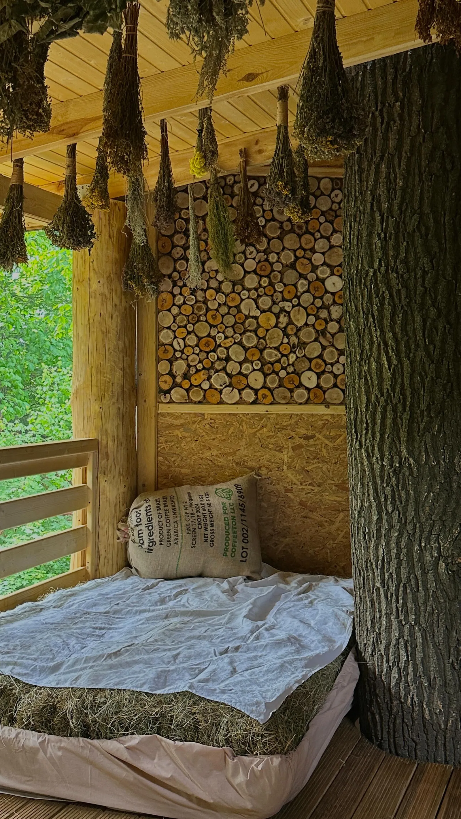 Stone&Forest Spa — фото локації для відпочинку у смт. Велика Березовиця, вул. Микулинецька, Тернопільському районі, Тернопільській області, фото 2